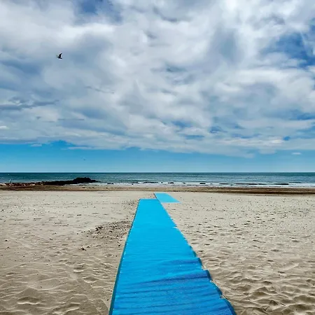 Les Sables De - T2 A 50m De La - Clim, Wifi Daire *